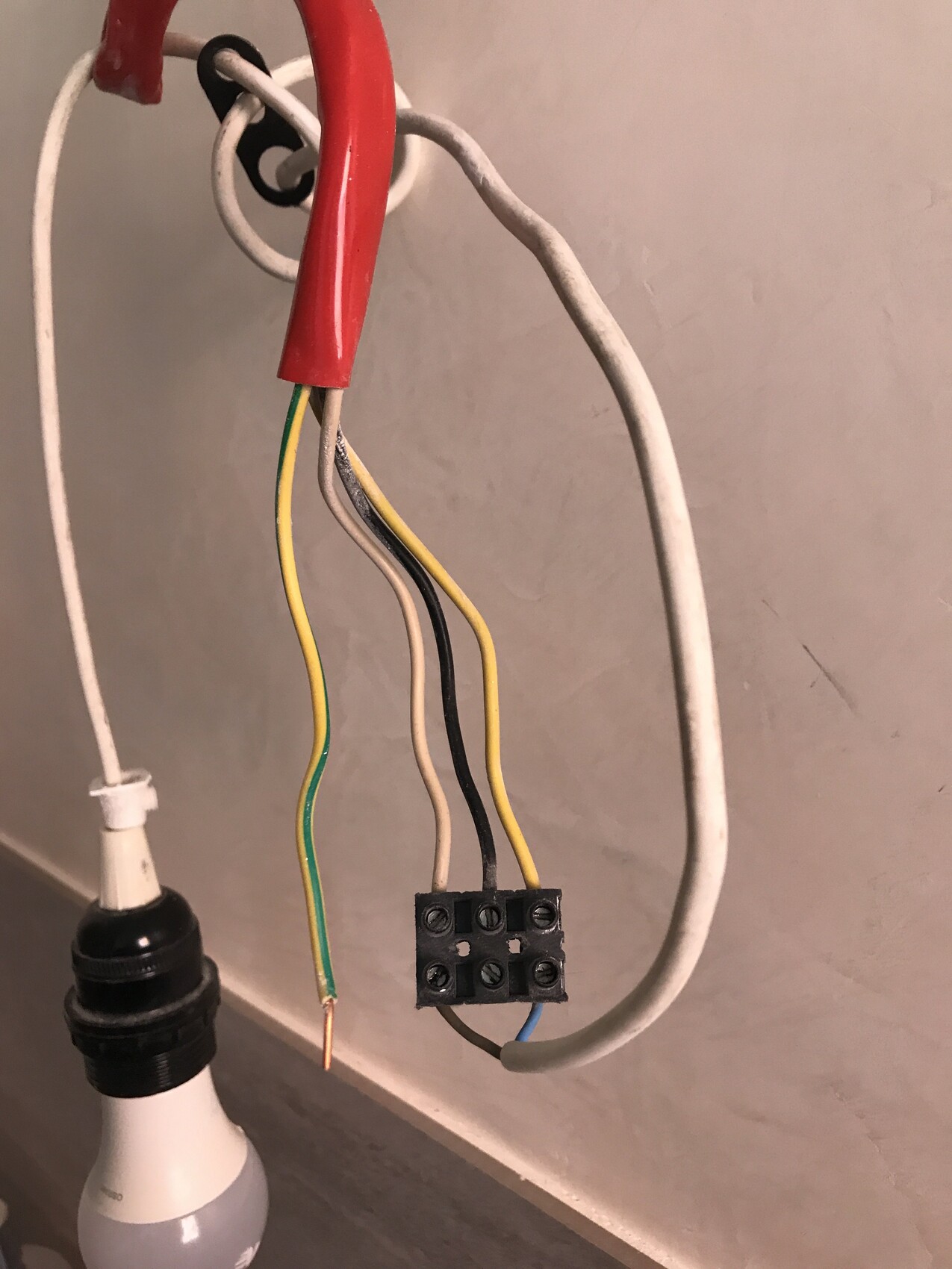 Exposed electrical wiring of a lamp with terminal block and light bulb.