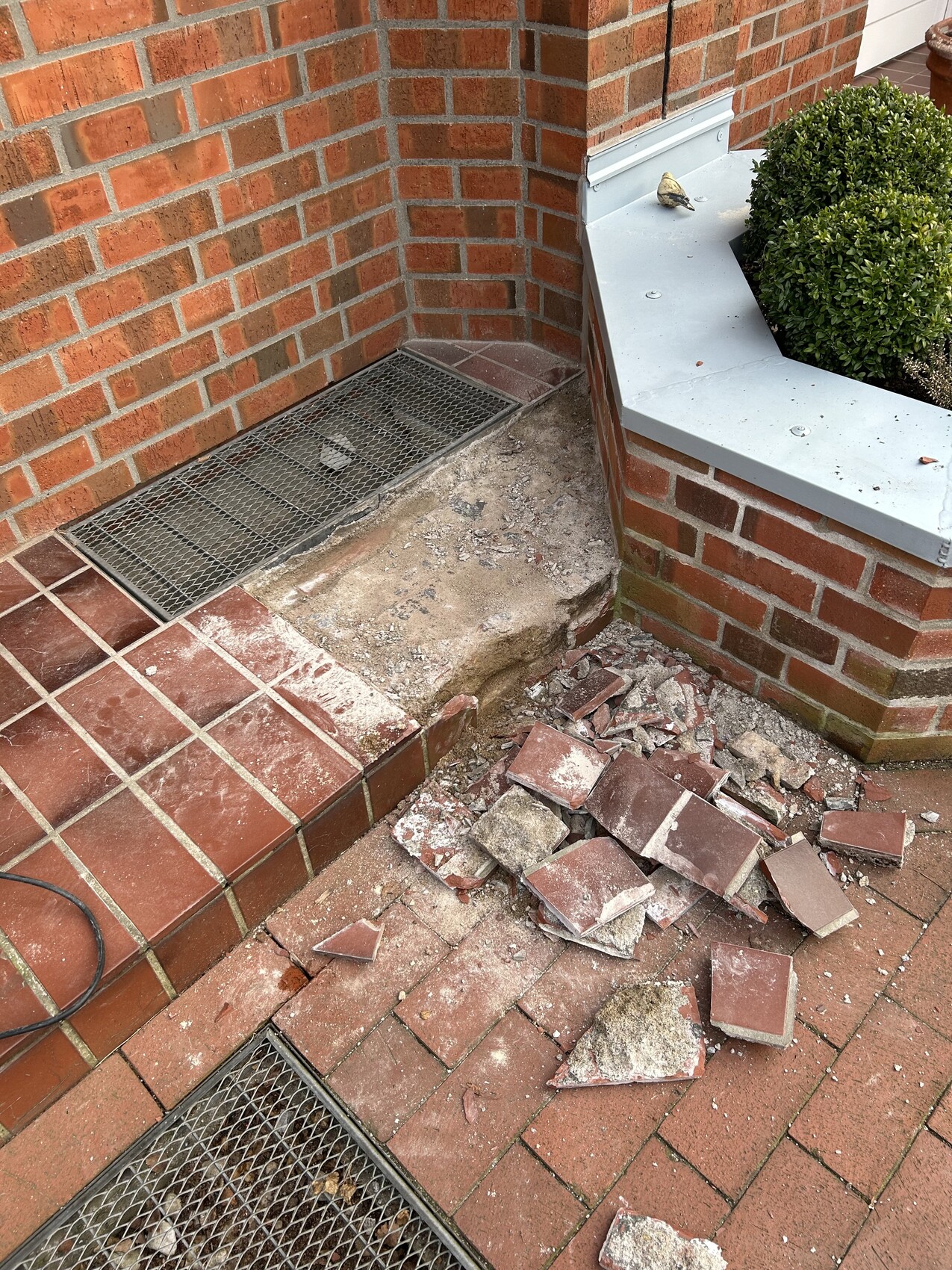Outdoor area of a red brick house with damaged step, brick breakage and metal grating