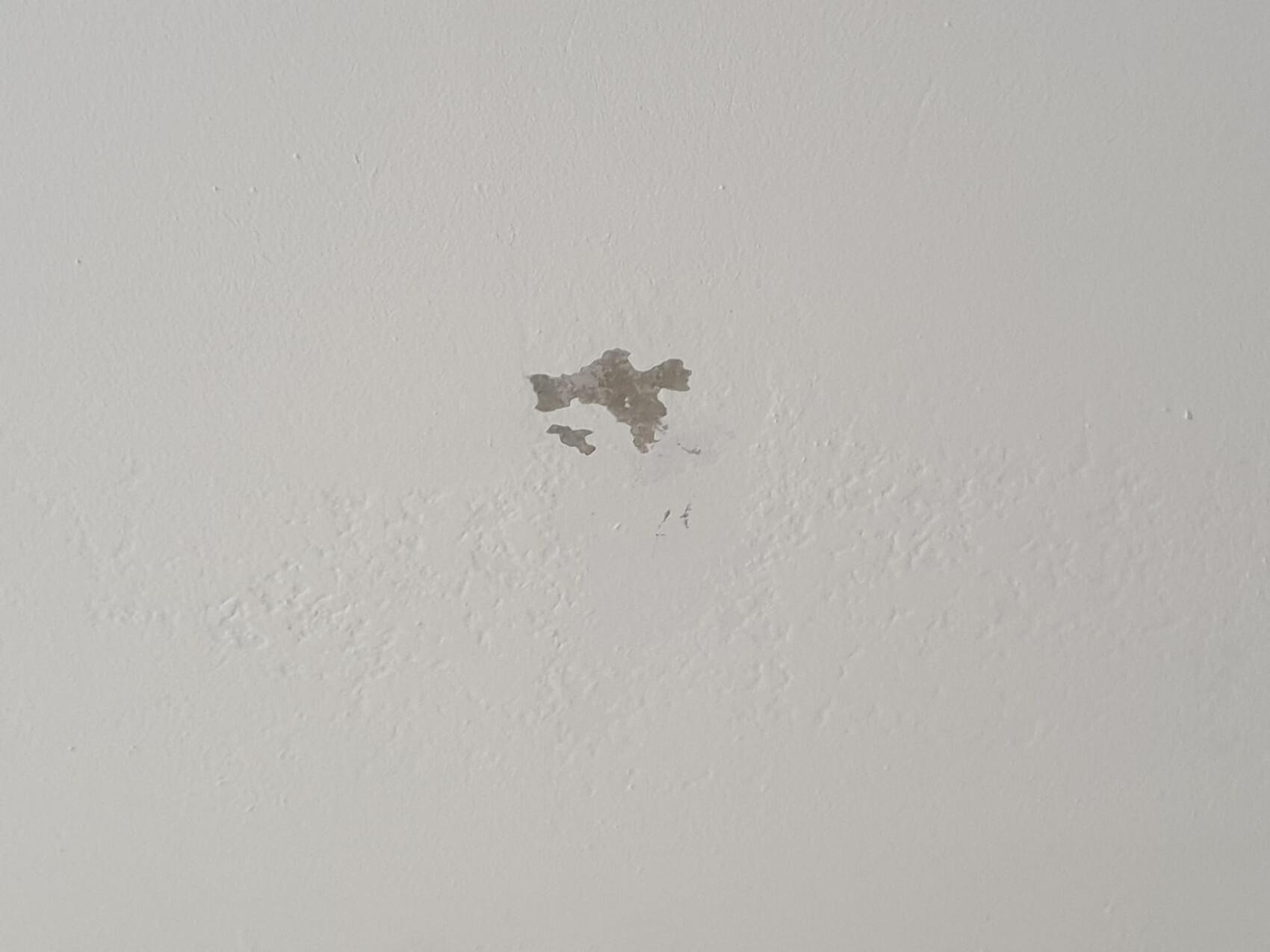 Kleine unregelmäßige Abplatzung an einer weißen Wand in der Bildmitte.