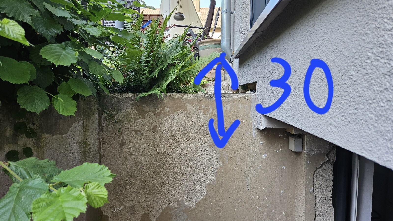 Outdoor area with gray concrete wall, green plants, and a blue arrow marking next to the number 30.
