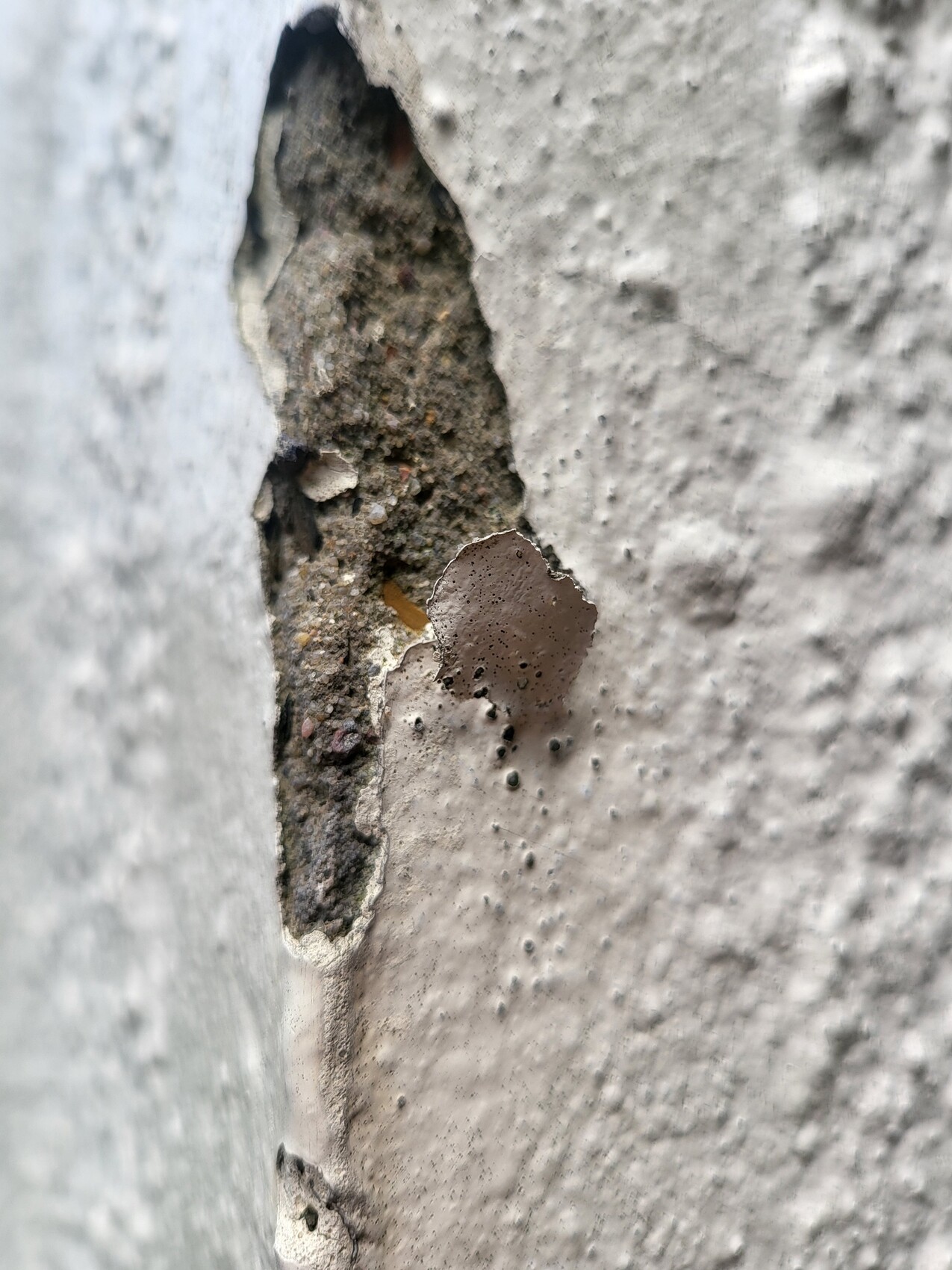 Close-up of a damaged concrete wall: open crack and brown peeling layer.