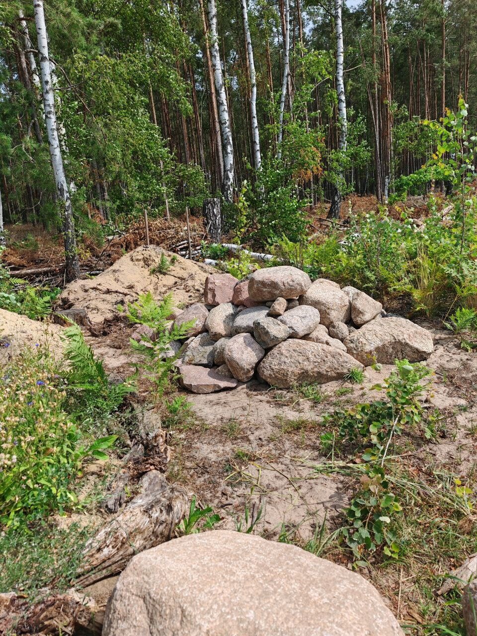 Pile of round rocks on sandy forest ground, birch forest in the background.