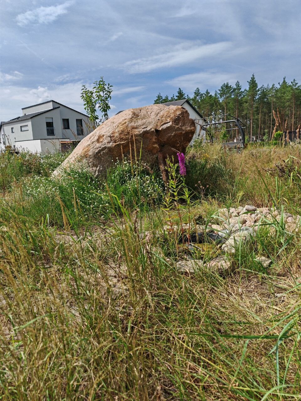 Large rock in a wildflower meadow in front of modern buildings and forest in the background.