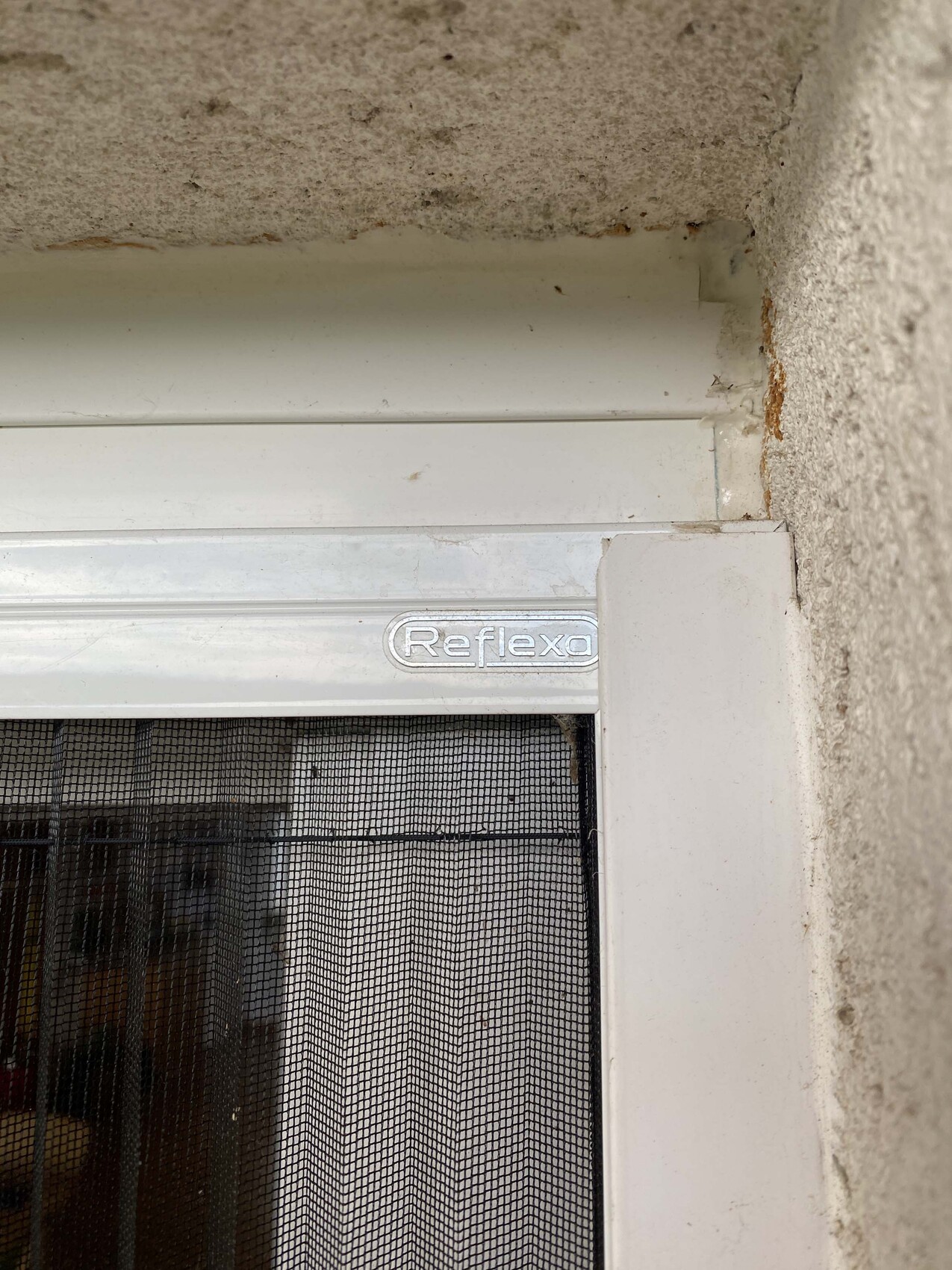 White window frame with insect screen, Reflexa logo visible.