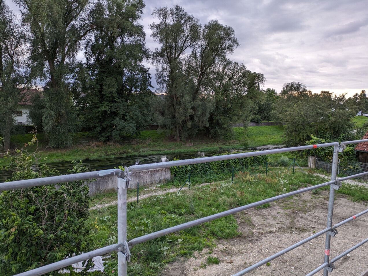 Canal with riverside grass and large trees, railing in the foreground, peaceful rural scene.