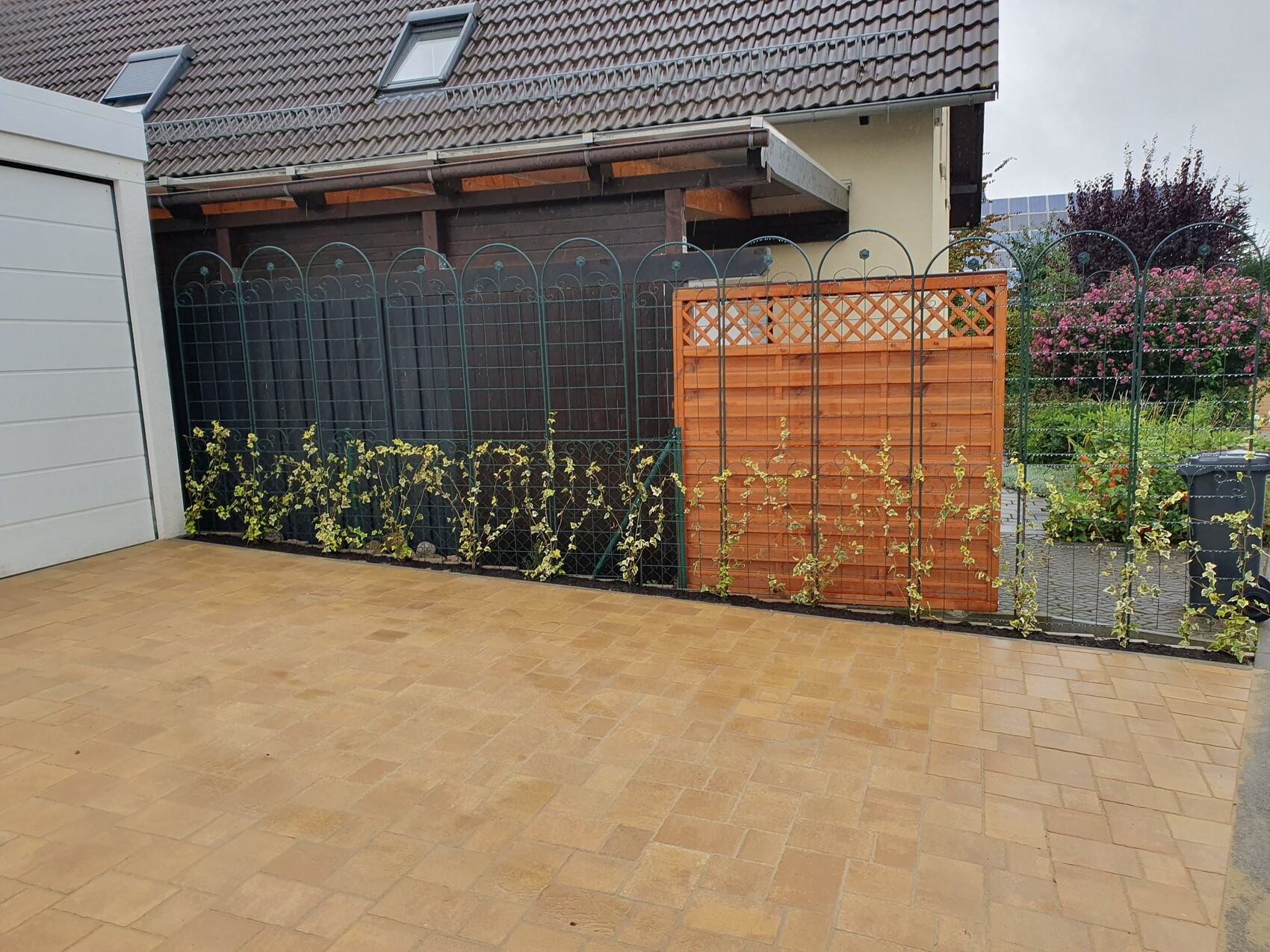 Paved terrace in front of garden fence; metal fence with arches, wooden wall, climbing plants.