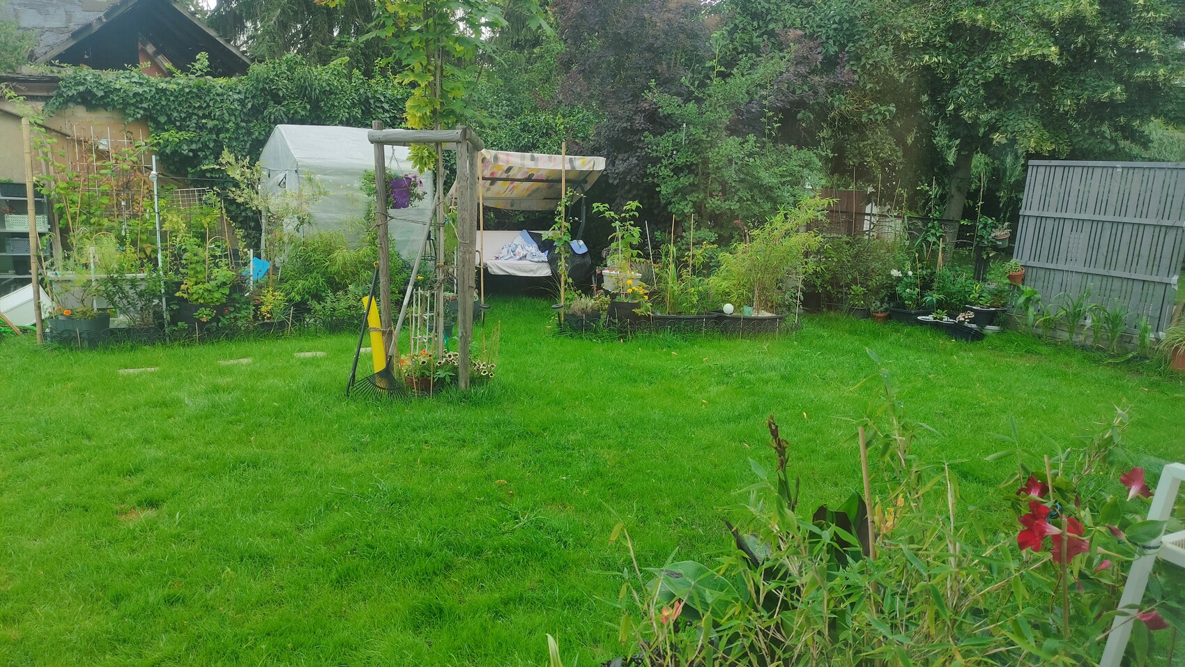 Garden with lawn, flower beds, greenhouse, and wooden arch frame with seating area.