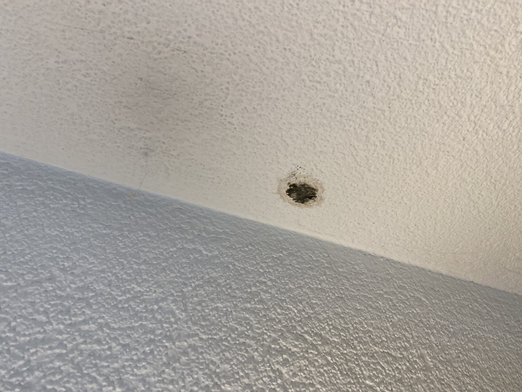 Close-up of a rough, white ceiling with a small dark hole in the center of the image.