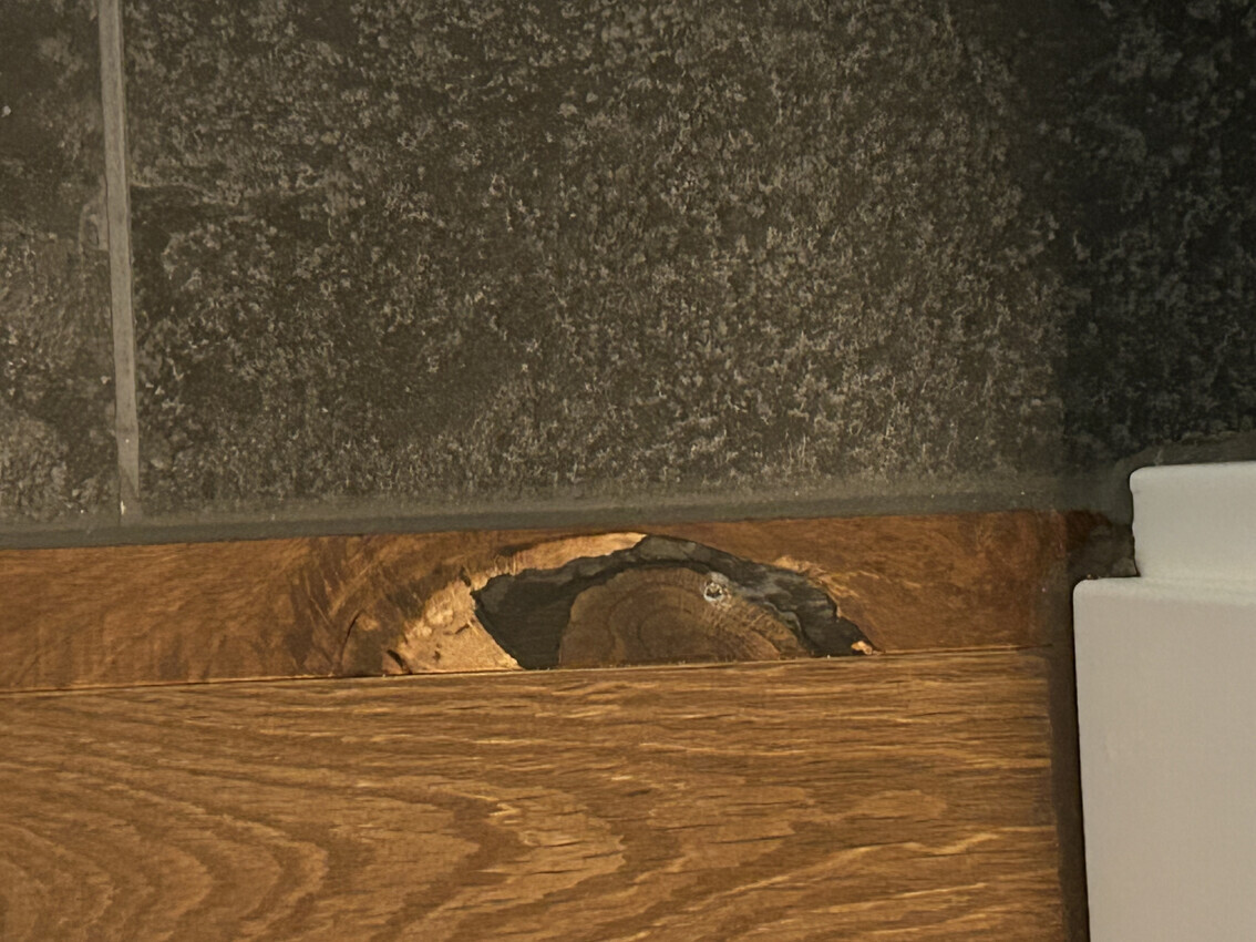 Wood floor with damaged plank and exposed growth rings; above it, dark wall tiles.