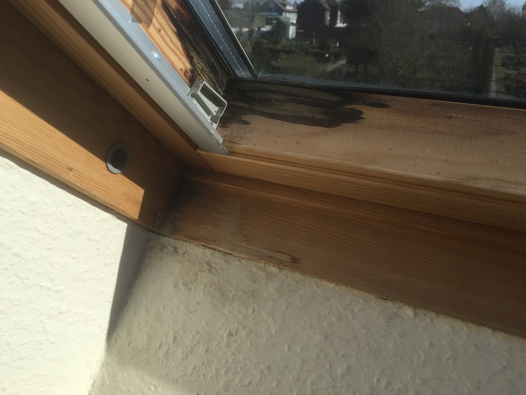 Interior view of a wooden window frame with metal lock and dark discolorations.