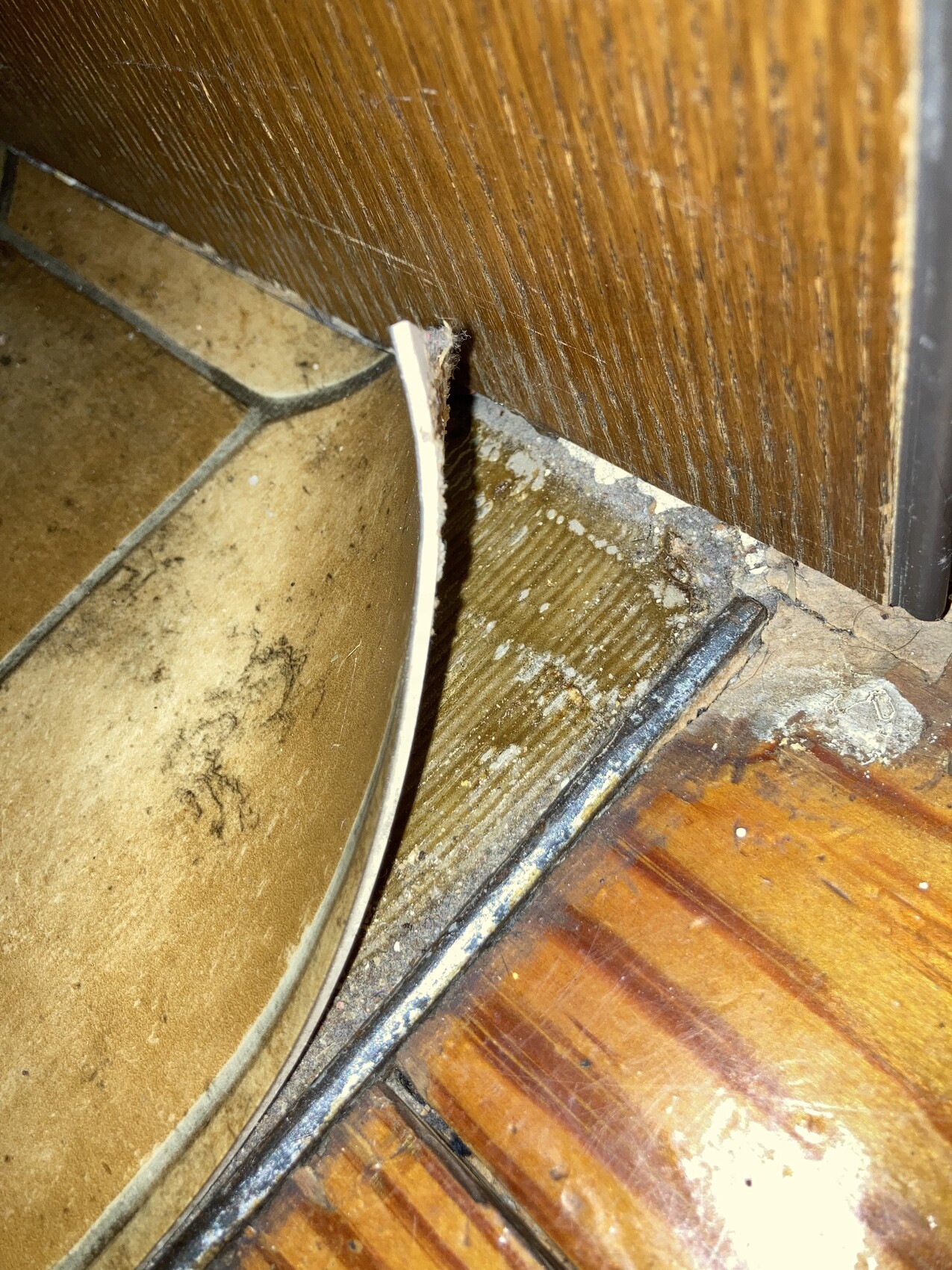 Broken white trim on door threshold between tiles on the left and wooden floor.