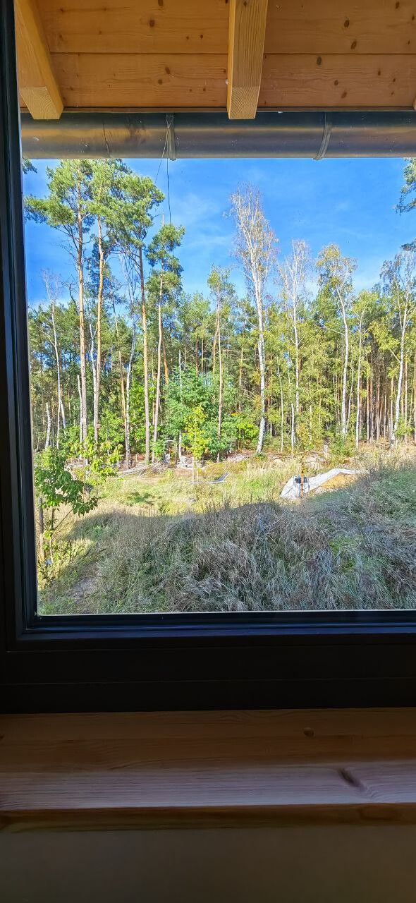 View through window of tall trees in a forest, grass, and blue sky; interior with wooden beams.