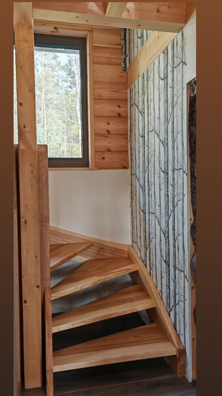 Wooden staircase indoors next to a wall with a tree trunk motif and a window with a forest view.