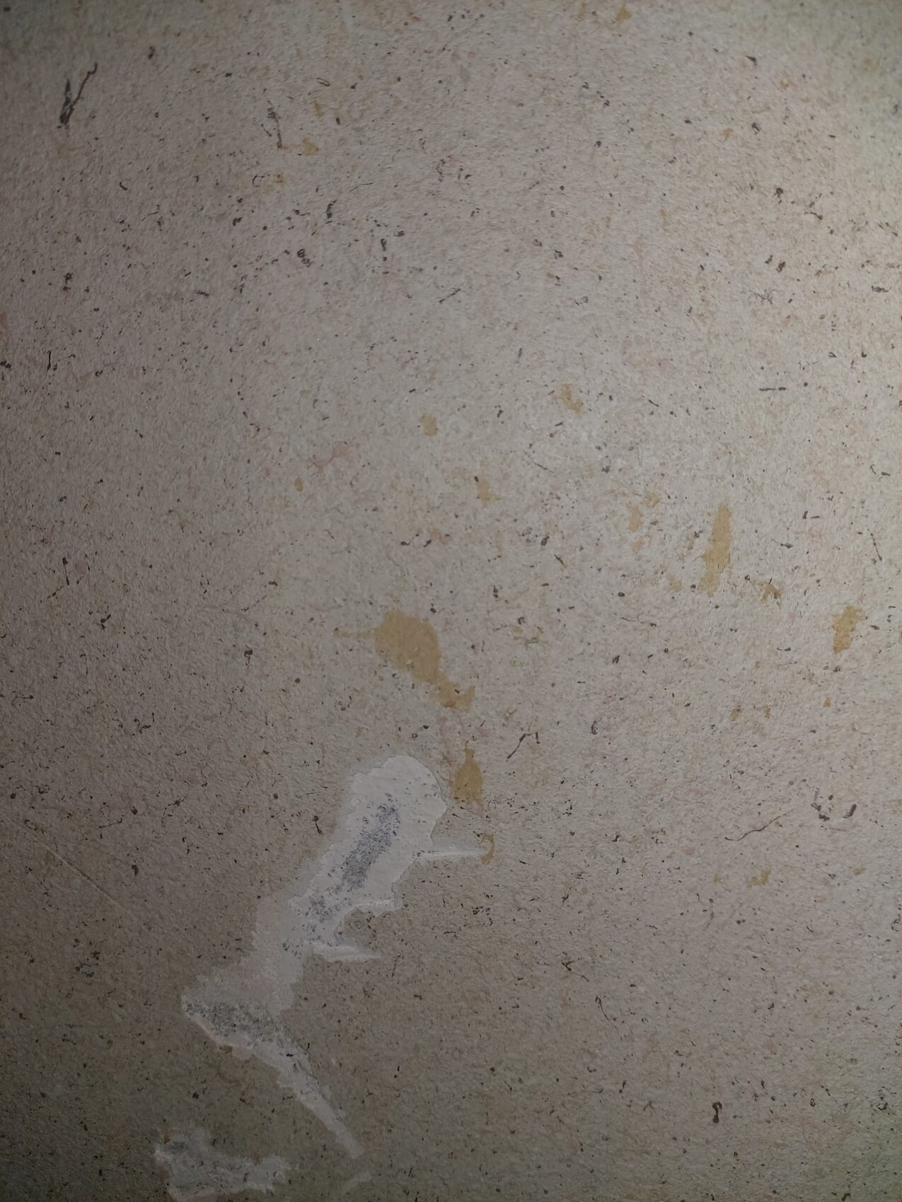 Close-up of a rough, beige wall area with stains and peeling plaster at the lower part.