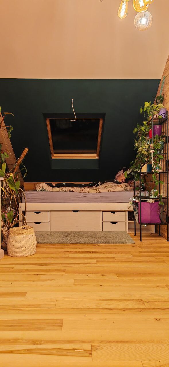 Cozy bedroom with storage bed under skylight, green wall, wooden floor, plants.