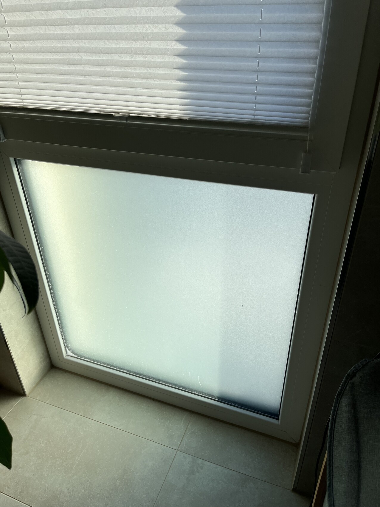 White window/door frame with frosted glass, upper blind; tiled floor, plant on the left.