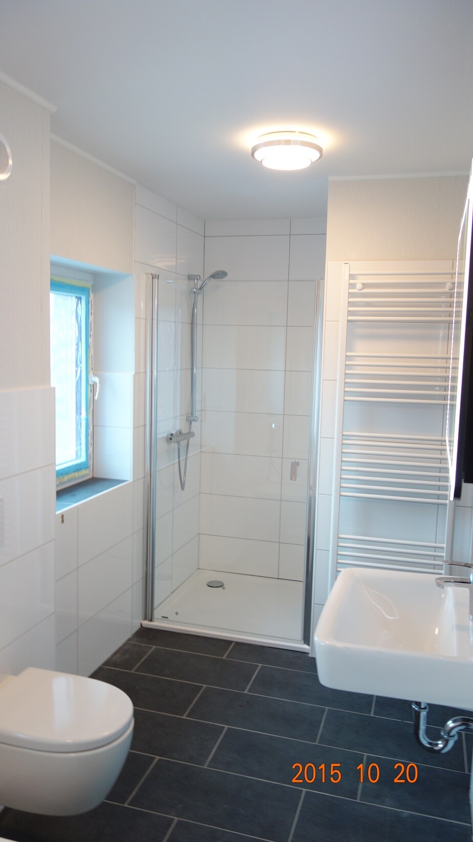 Modern bathroom with glass shower, toilet, sink, and towel radiator.