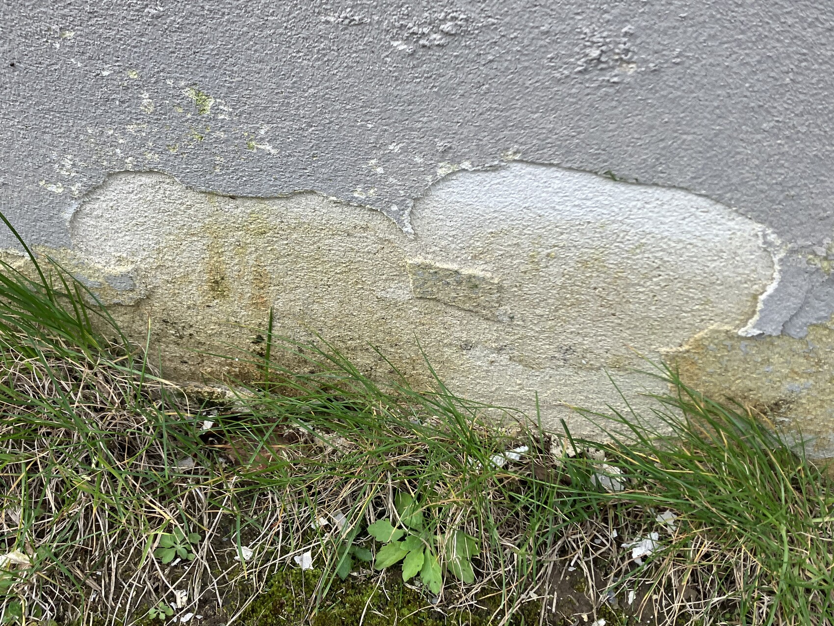 Damaged exterior wall with flaking plaster and grass at the bottom edge.