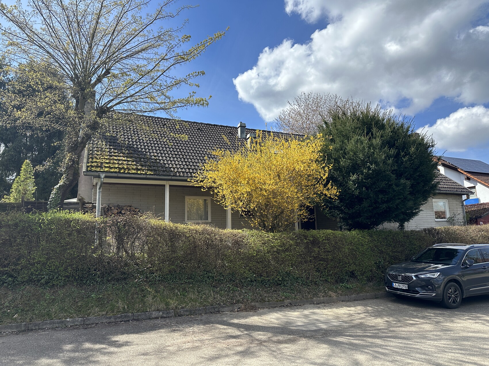 Rear garden of a single-family house with a yellow-flowering tree, hedge and parked car.