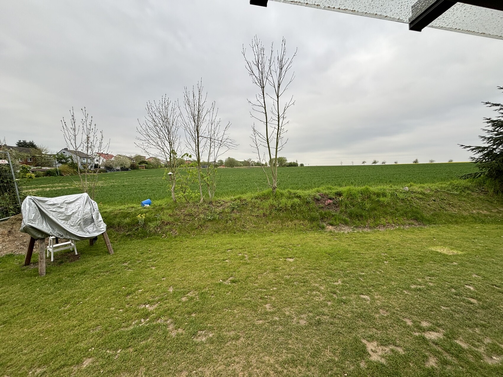 Garten mit grünem Rasen, links abgedeckte Vorrichtung, dünne Bäume, Felder im Hintergrund.