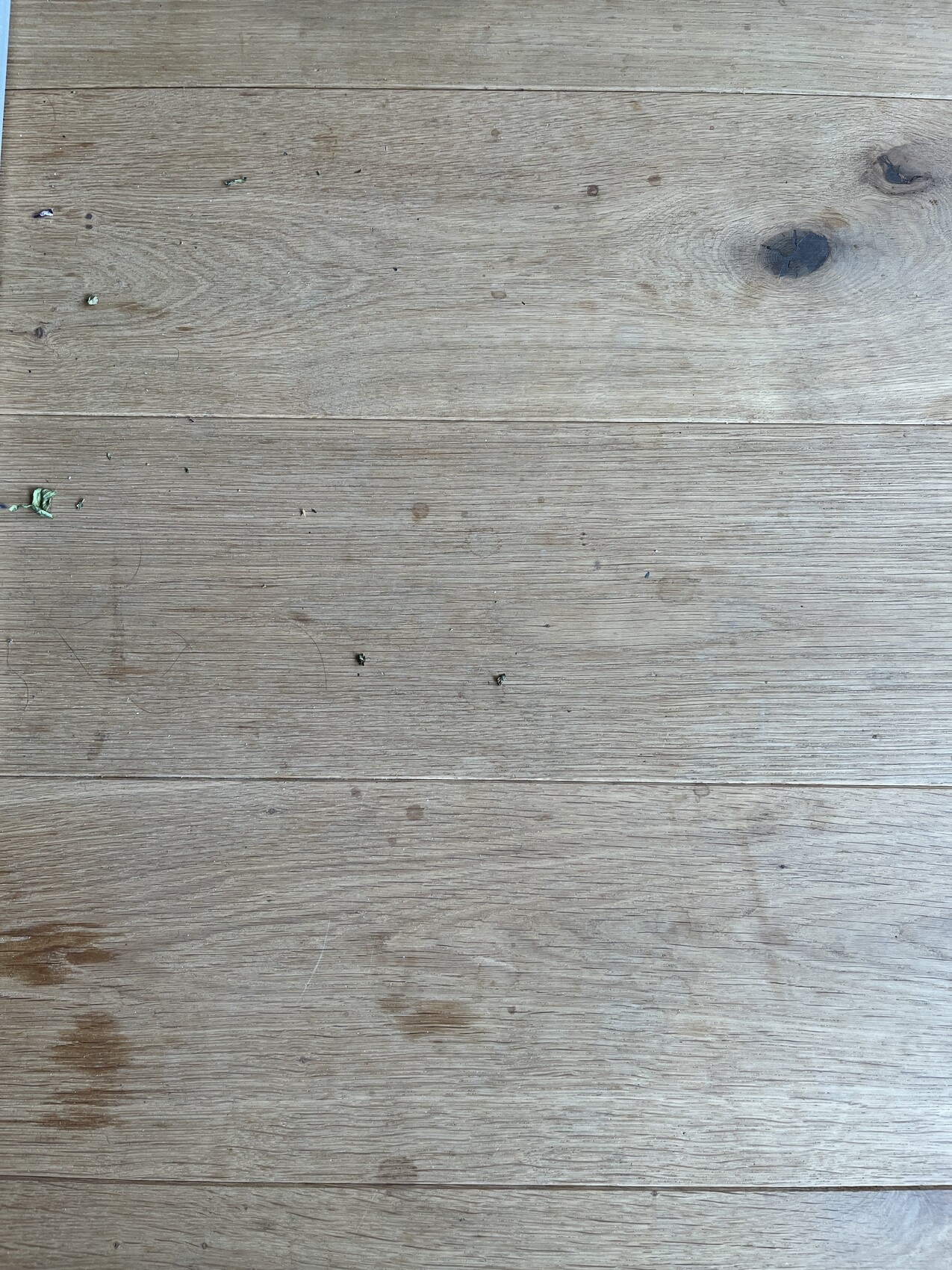 Wood floor made of wide planks with stains, scratches, and green residues.