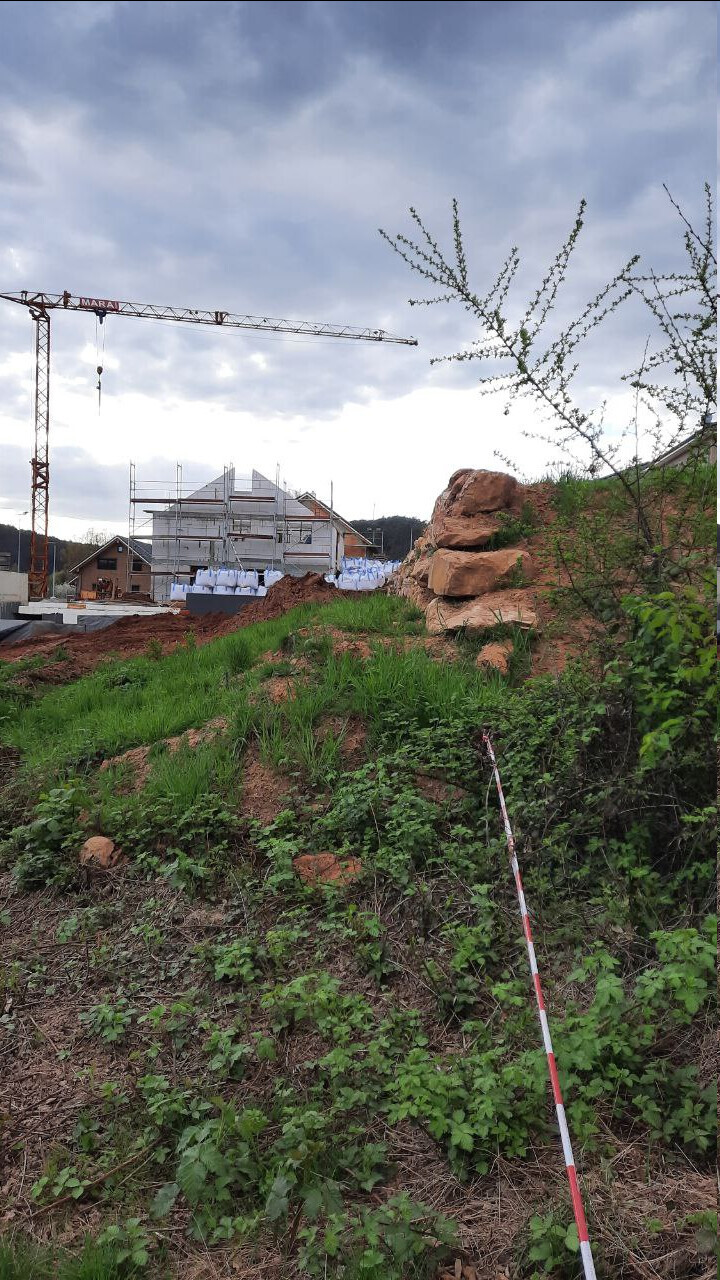 Crane over construction site with scaffolding, construction progress; grassy slope in the foreground