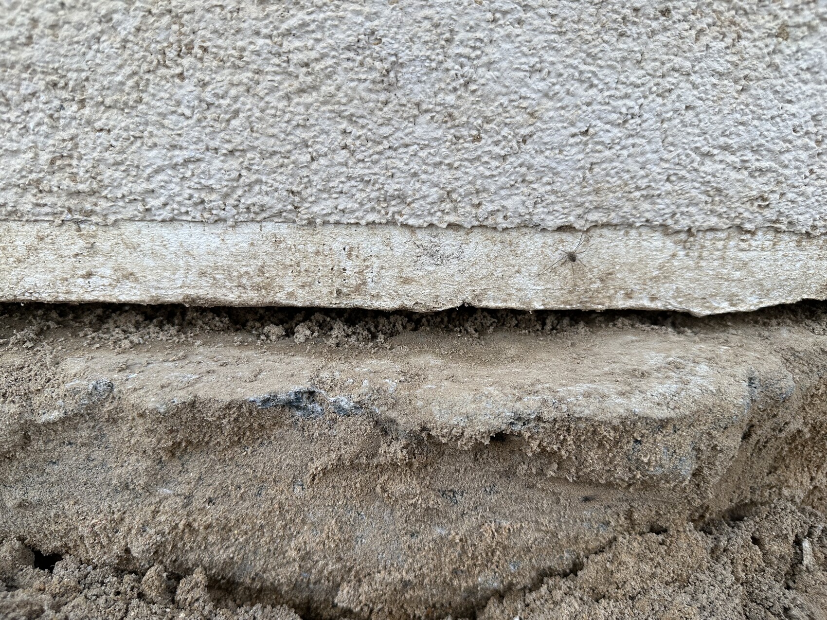 Rough plaster on a wall, underneath loose soil; a small spider sits at the bottom edge.