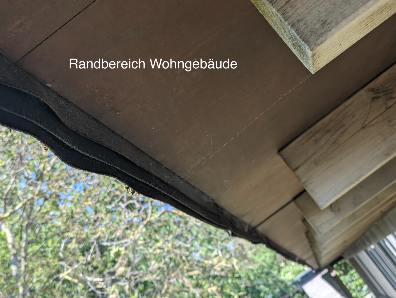 Unfinished roof edge of a residential building: visible wooden panels and beams.