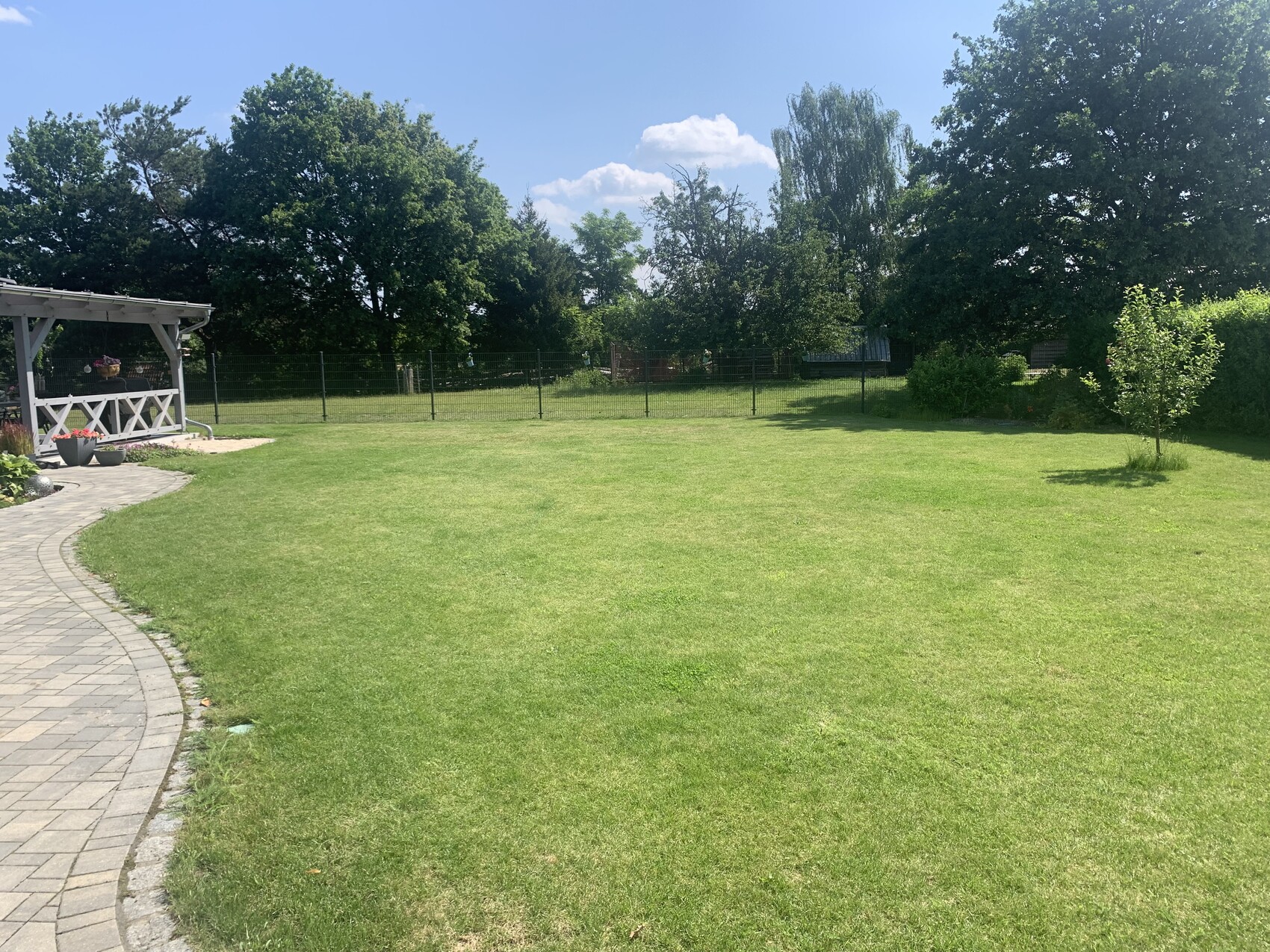 Garden with green lawn, paved path on the left, pergola with flowers, fence in the background