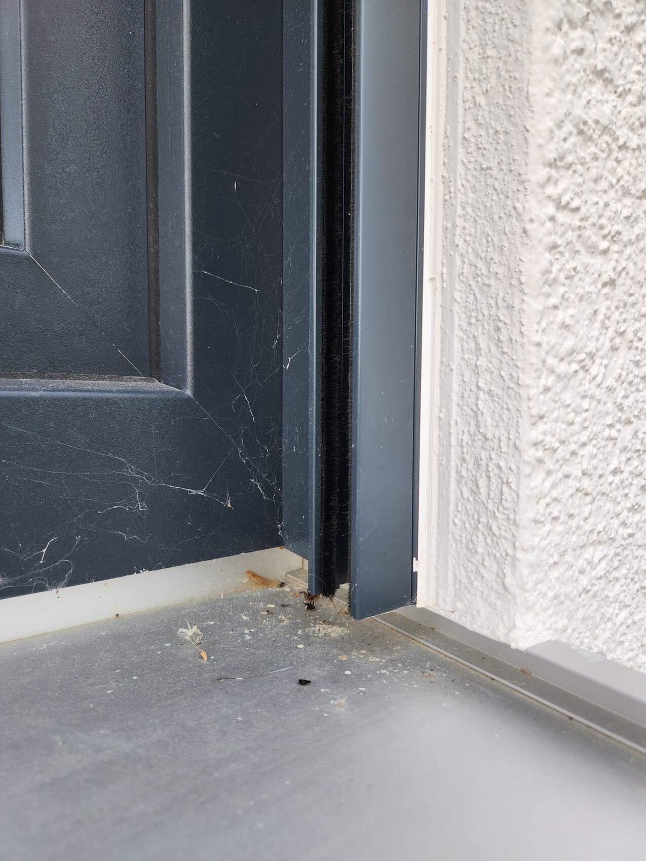 Dark blue door with gap, door threshold, dust and cobwebs at the bottom edge.