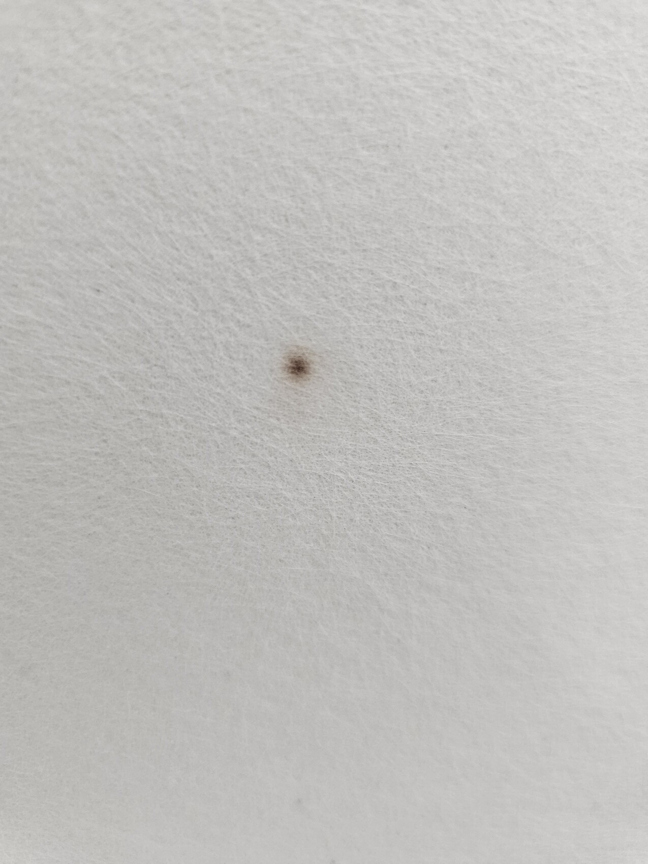Close-up of a white paper surface with a small brown stain.