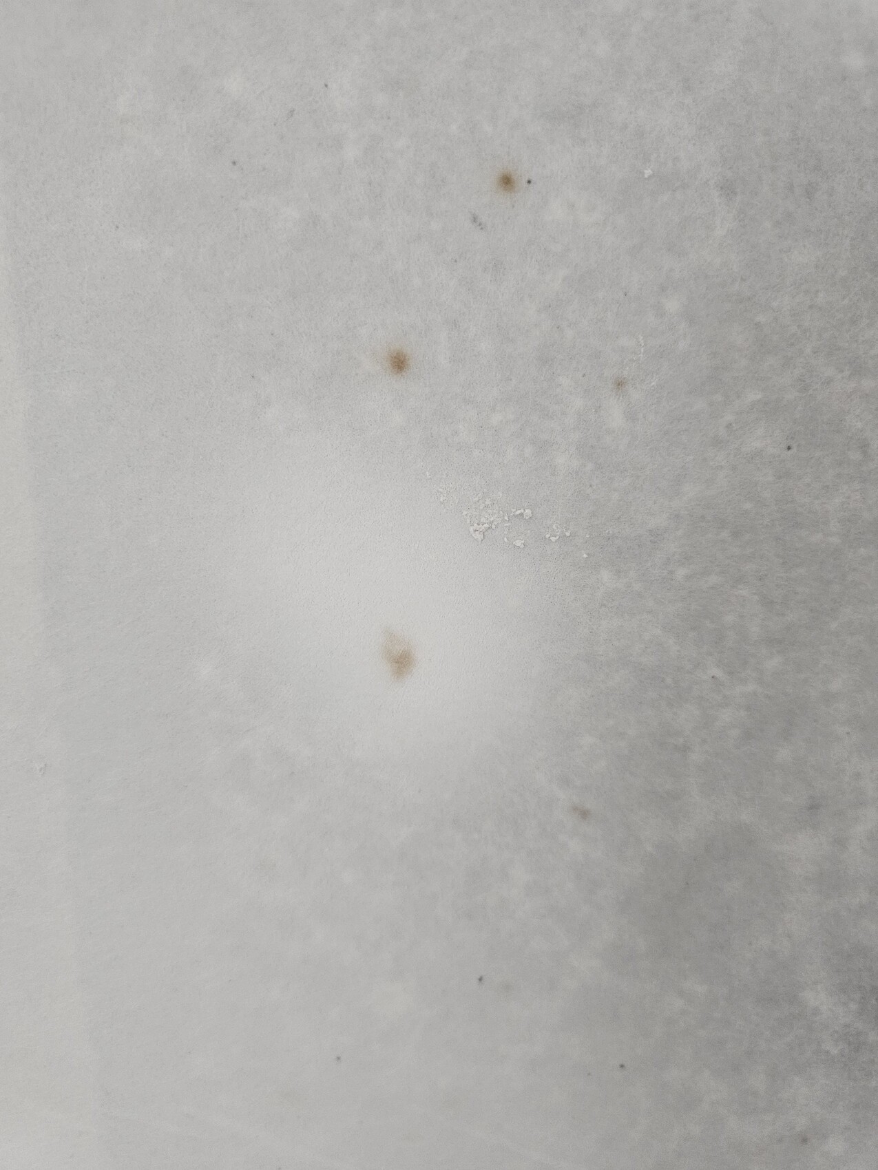 Light grey, slightly textured surface with rust-colored stains.