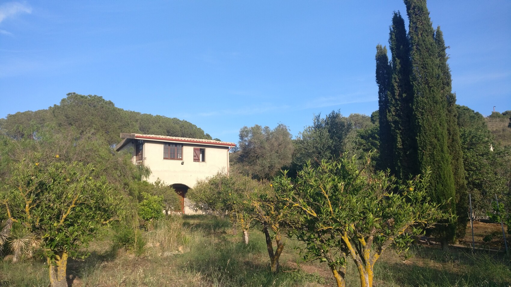 Small country house in a garden with fruit trees, cypress trees, and blue sky.