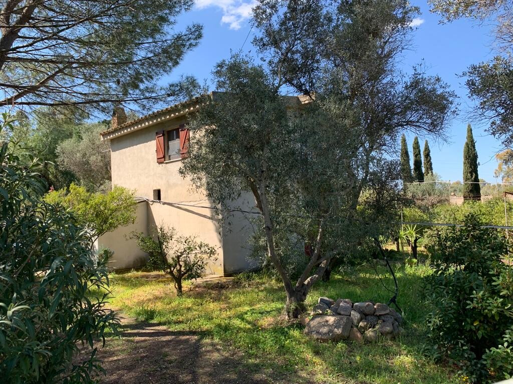 Mediterranean house with red window shutter, olive tree, and stone wall in the garden.