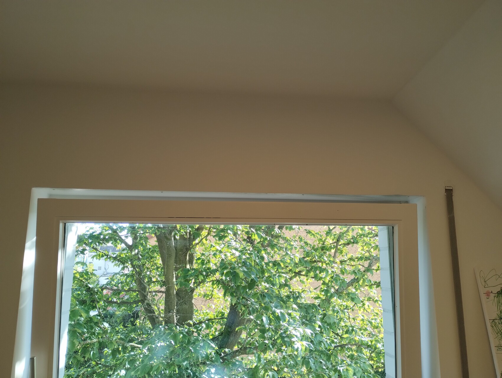 Open window with a view of a green tree outside; bright interior.