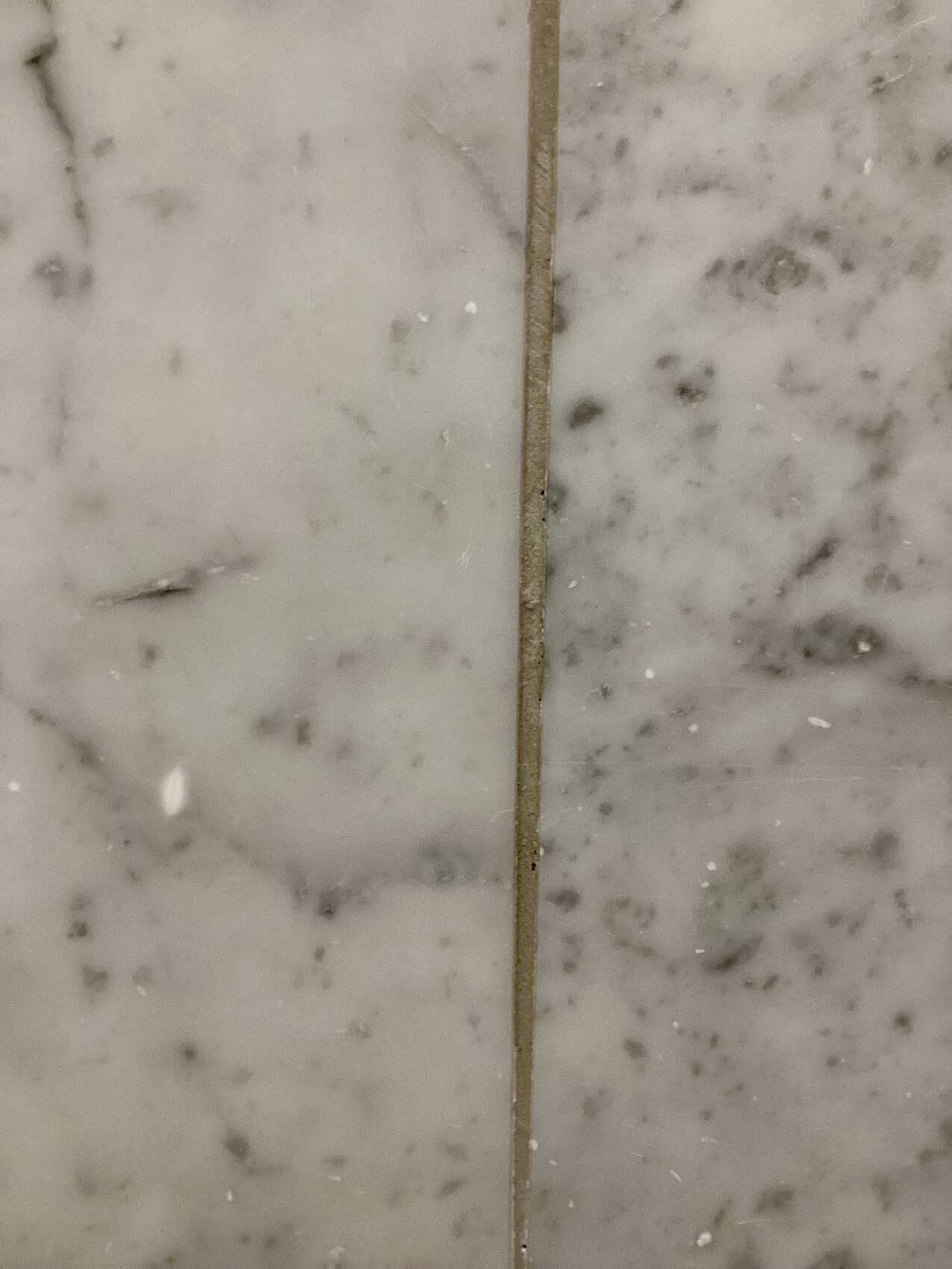 Two white marble slabs with grey veins, separated by a narrow vertical joint.