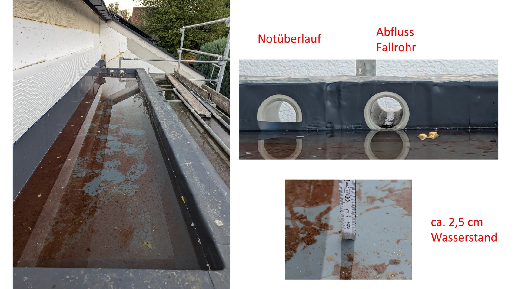 Roof area with standing water puddles, emergency overflow and downspout; approx. 2.5 cm (1 inch) water level.