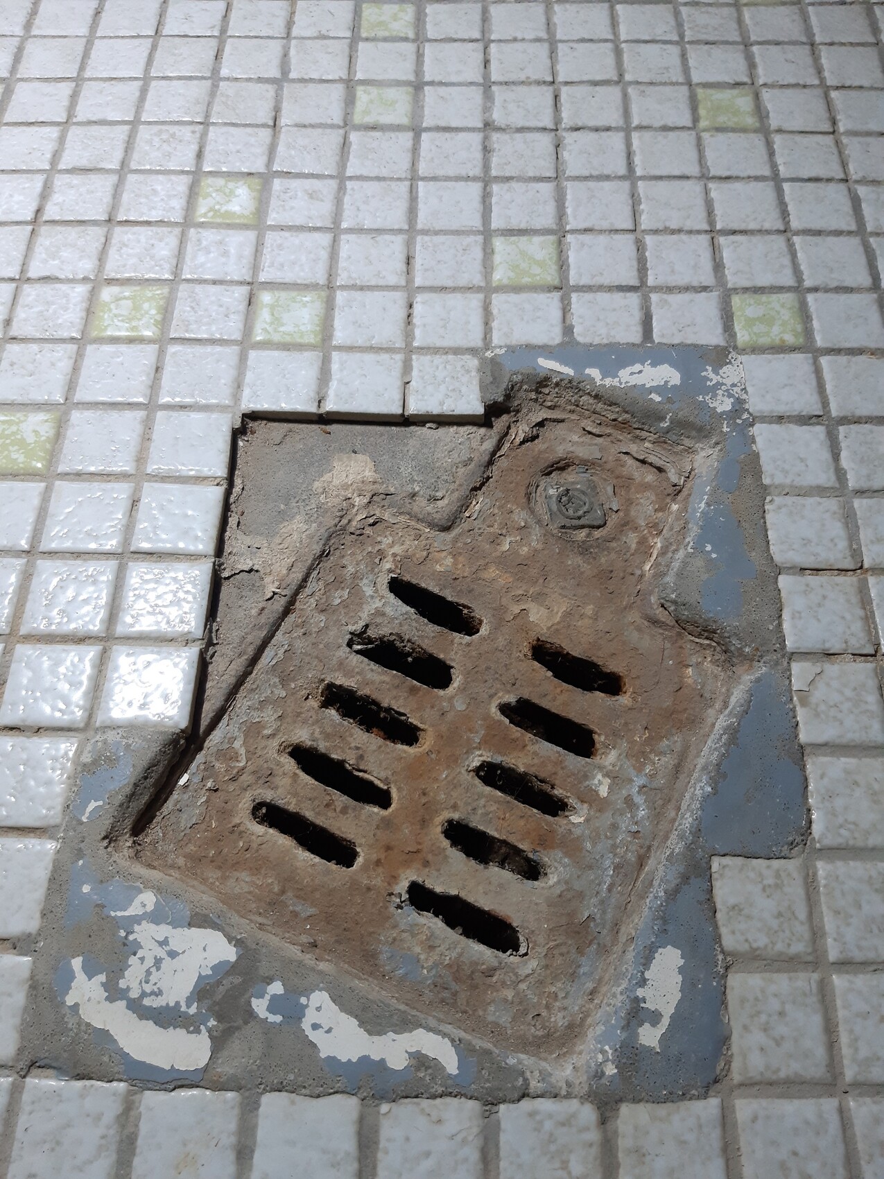Damaged floor drain in bathroom tiles with rust and dirt