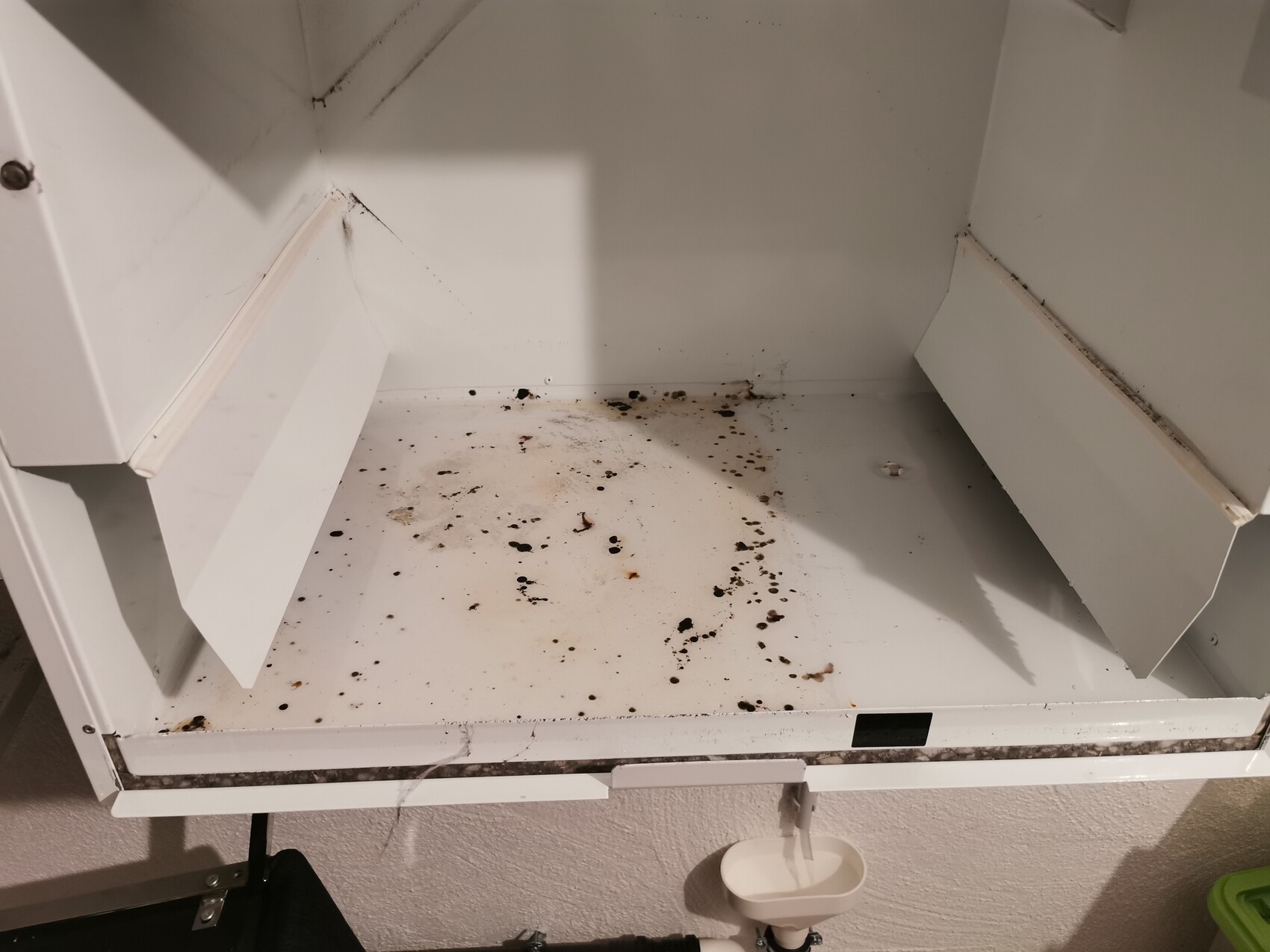 Open white kitchen cabinet bottom with black spots and dirt