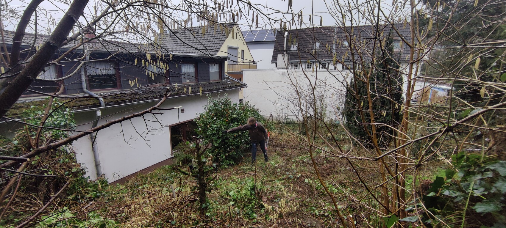 Man pruning shrubs in a small garden; branches in the foreground, houses in the background.