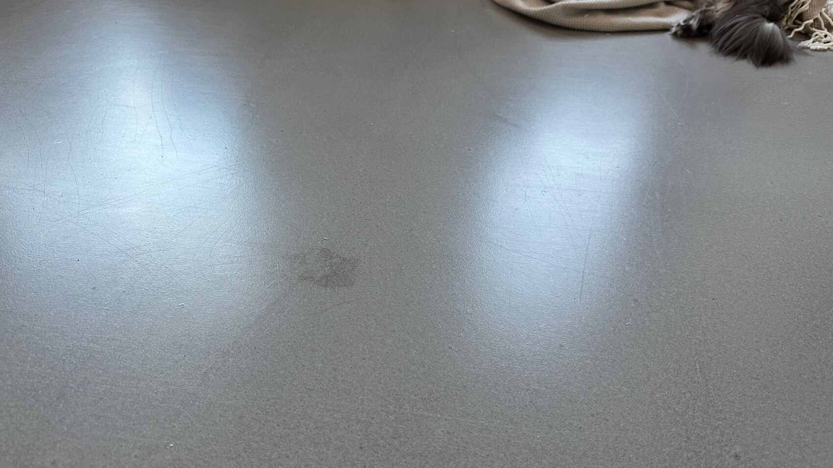 Smooth gray floor with scratches and dark stains; frayed carpet at top right.