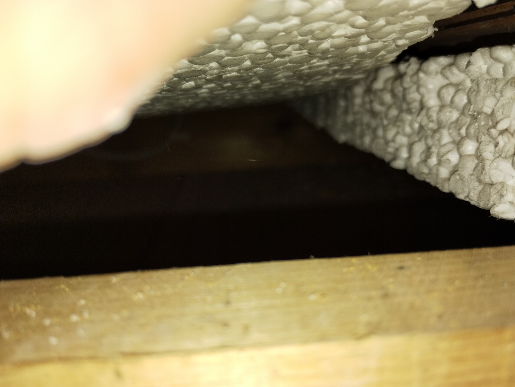 Underside of wooden beams with grey foam insulation, view into a dark gap.