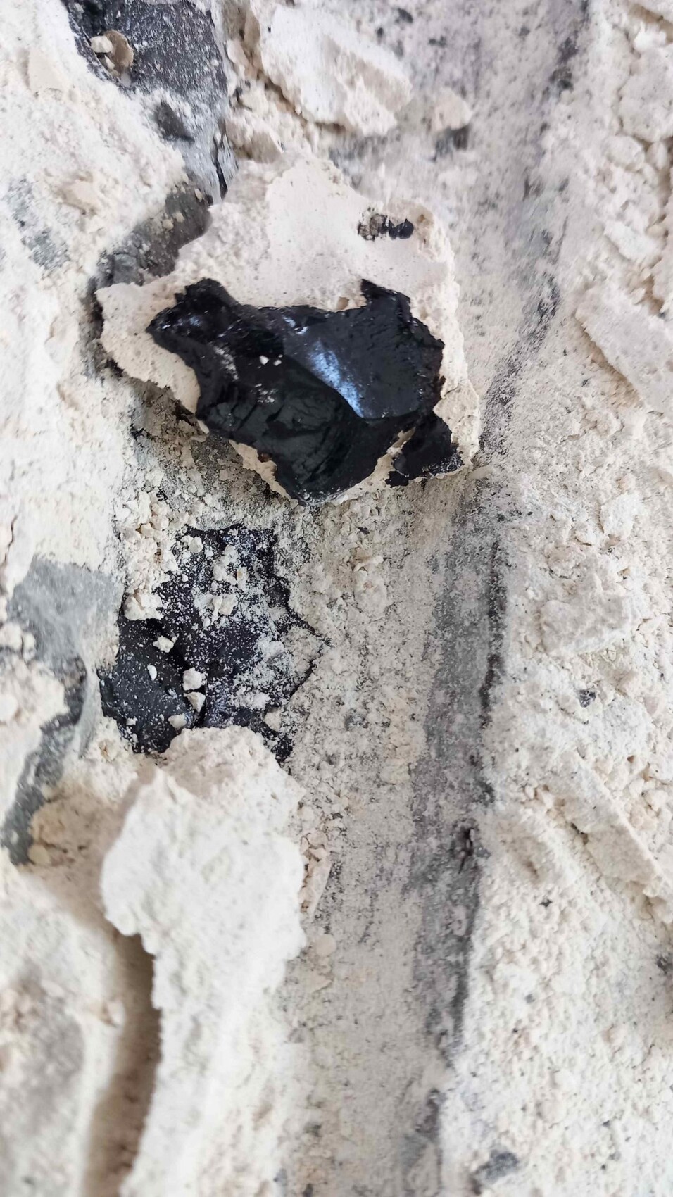 Close-up of a black, shiny rock piece surrounded by light beige, crumbly dust.