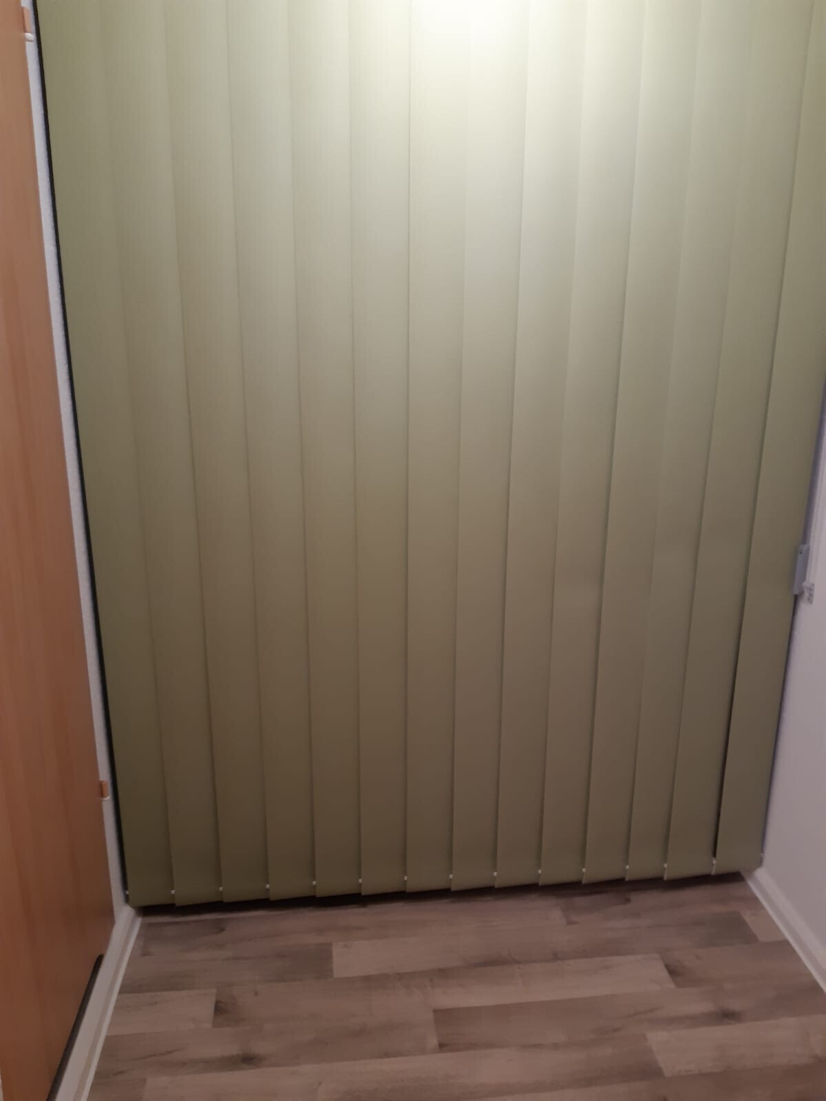 Green cabinet door with vertical slats in the hallway, wooden floor visible.