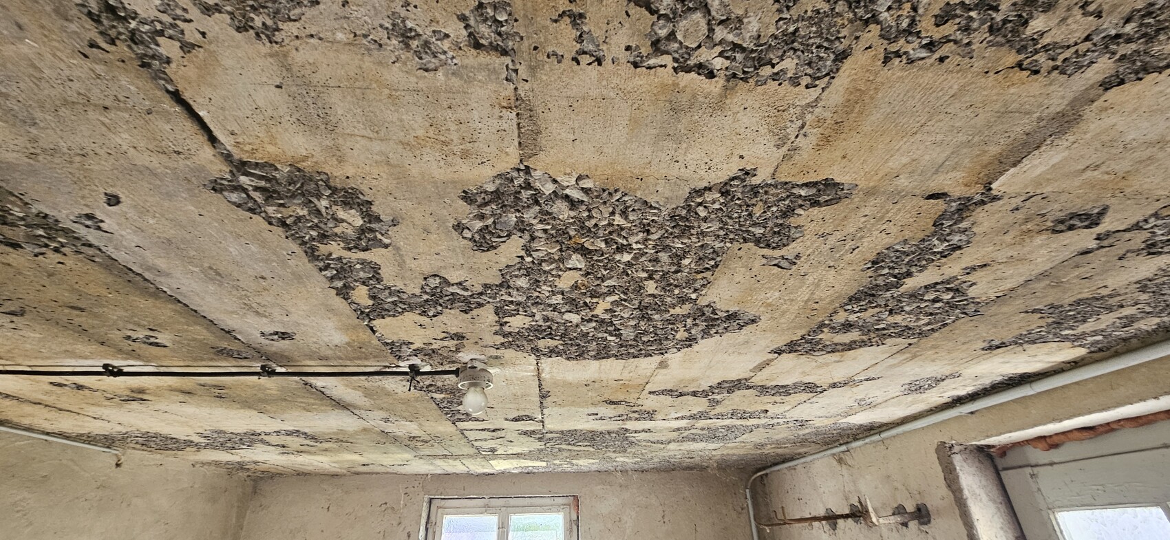 Ceiling with flaked plaster, damp spots, hanging light bulb, window below