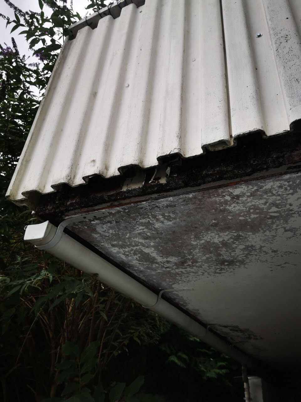 White corrugated metal roof panel with rain gutter; dirt and wear, surrounding plants.