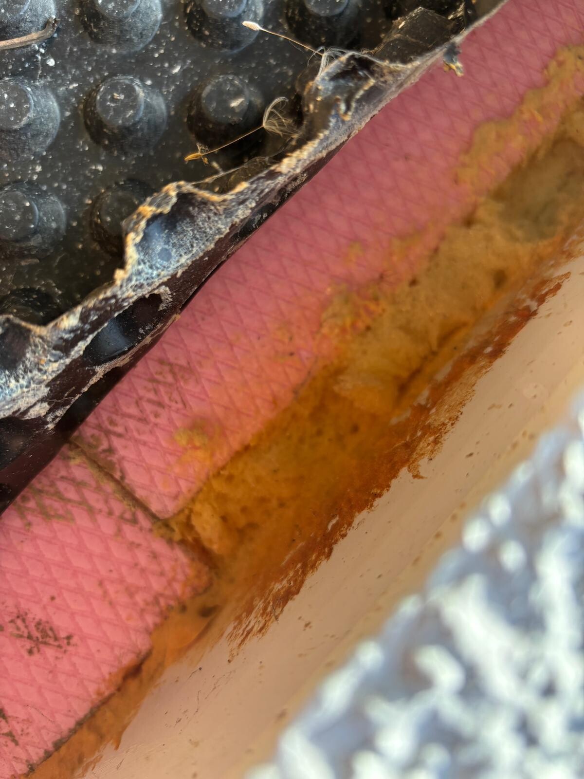 Close-up of pink insulation boards at a building part edge with damage