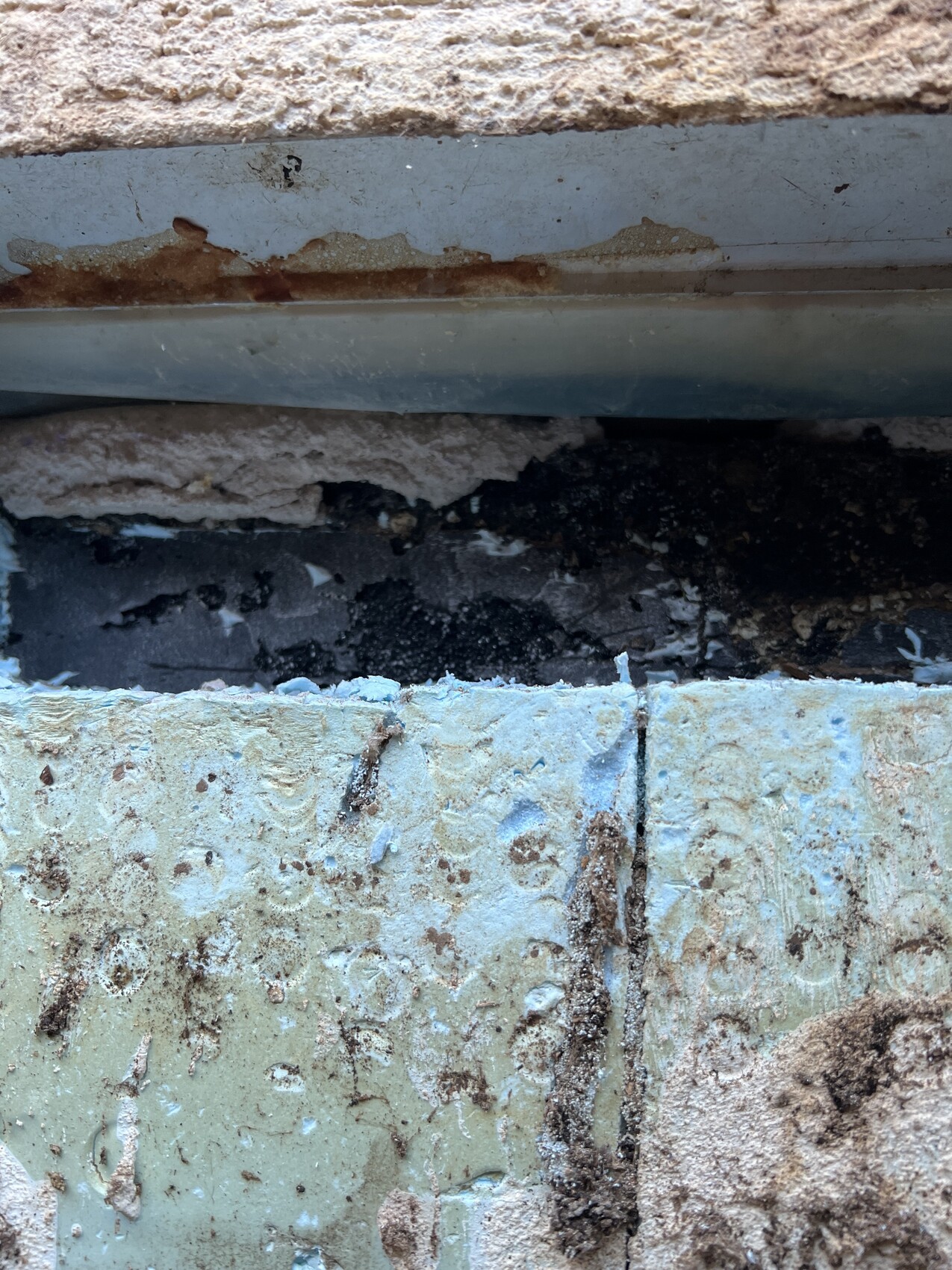 Close-up of damaged insulation with moisture between wall components