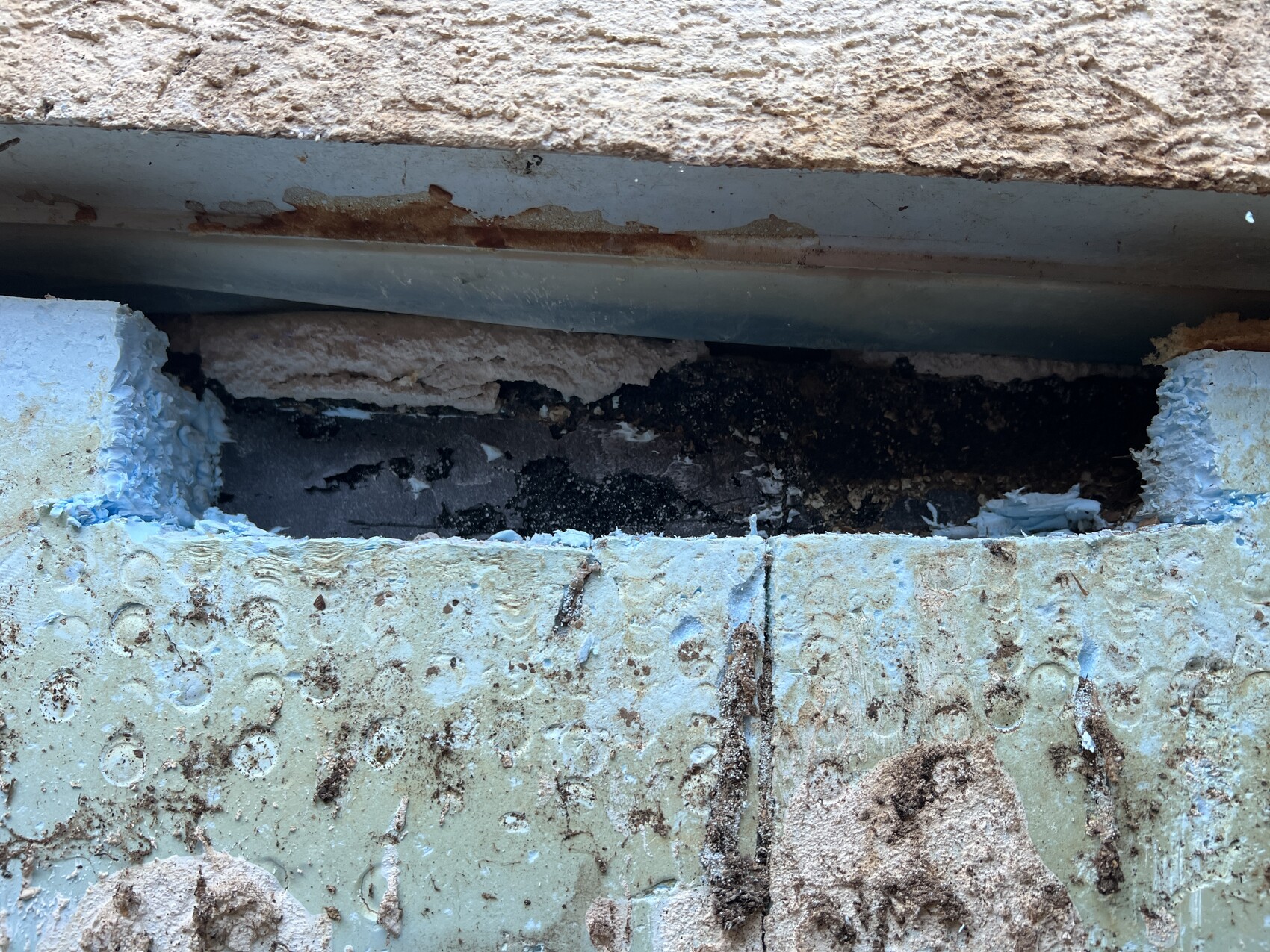 Outside of a wall with blue insulation material and an open insulation gap between plaster and foundation