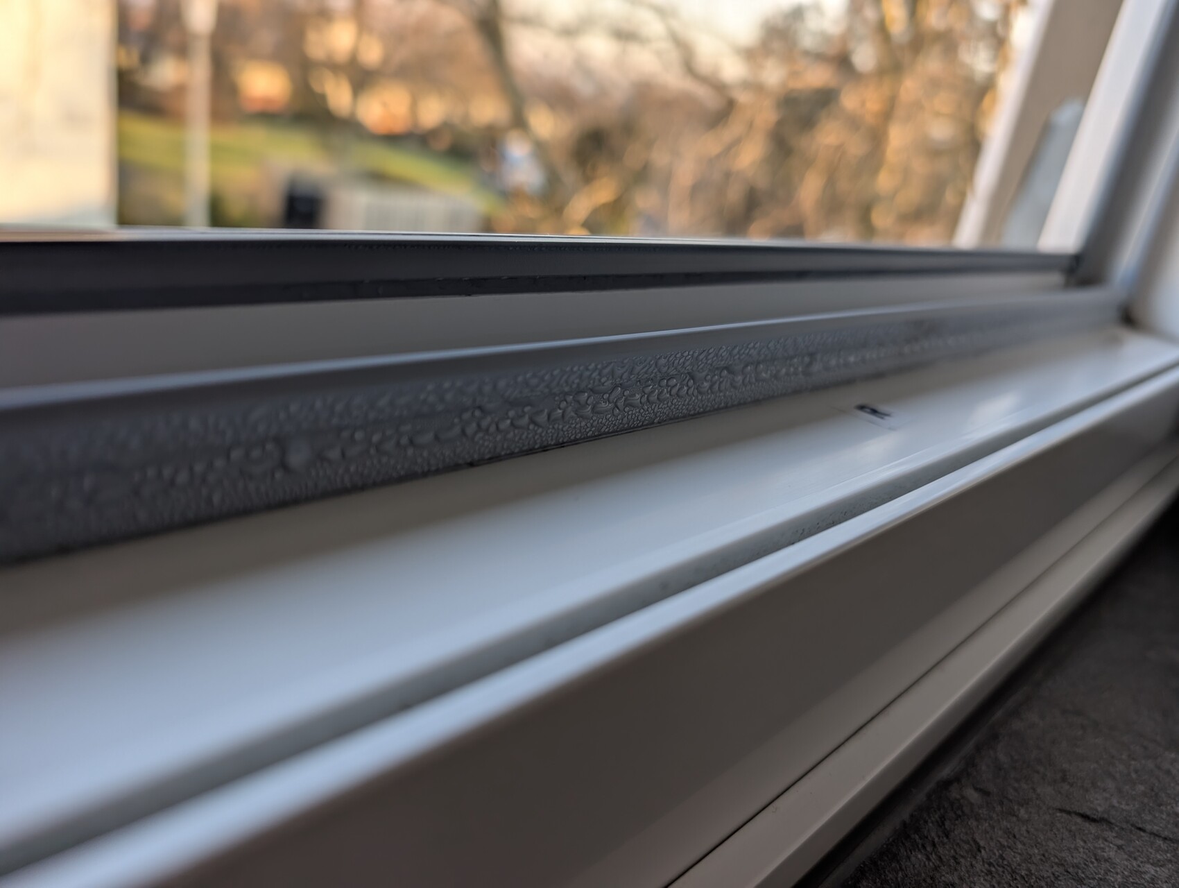 Nahaufnahme eines Fensterrahmens mit Kondenswasser an der Dichtung, draußen unscharf.